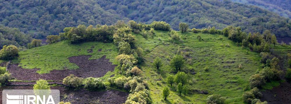 Zagros Forests Under Threat